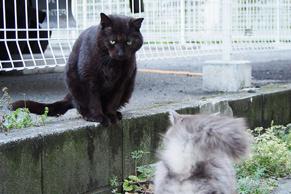 ミトンとアイコンタクト