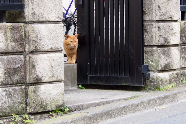 じーーと見ていたナチャ