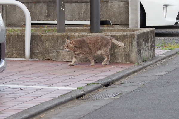 とてとてグリ駐車場その３へ