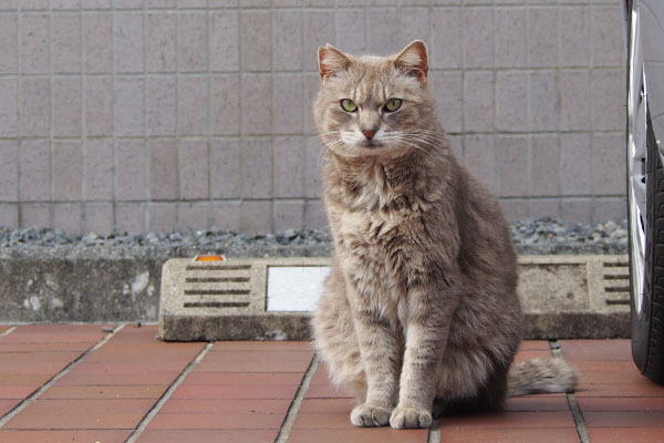 振り出しに戻る