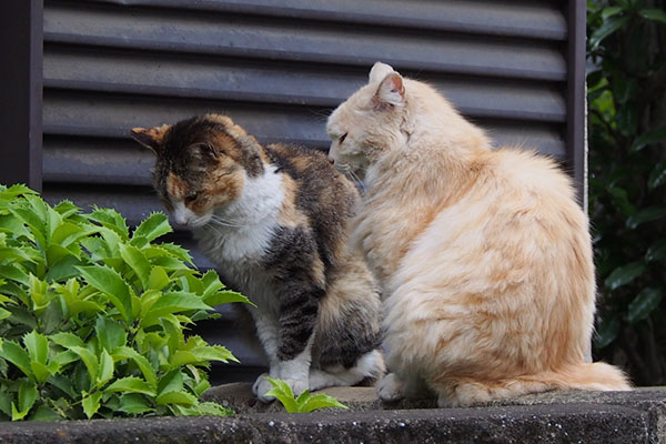 下を見ているオトワとナリコ