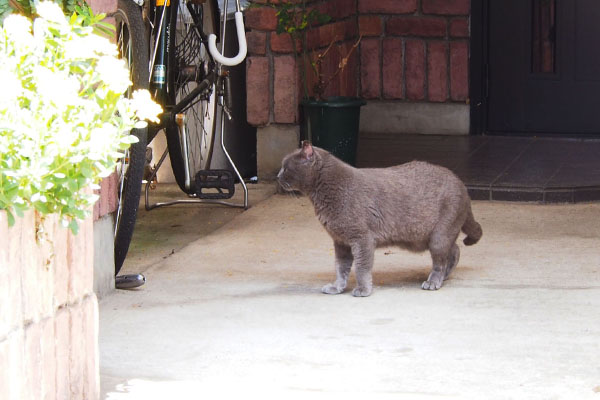 見ている方向が邸宅