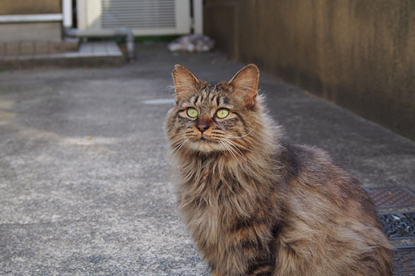 きょうは何が出てくるかマロン