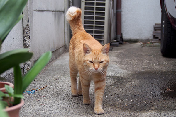 まっすぐは来ないソラ