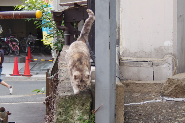 降りる時は慎重な銀