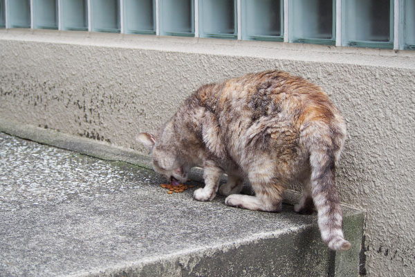 階段右側で食べる銀