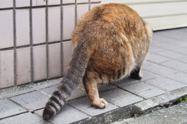 食べている後ろ姿ヴェル