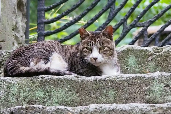 カイ君階段の上更にアップ