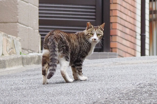 カイ君振り向くお尻が良い