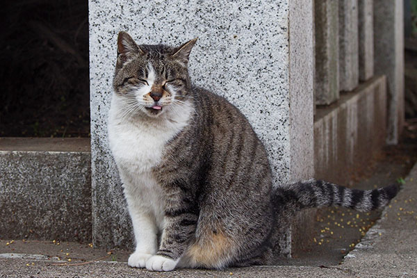 雫　ちょこんとお座り