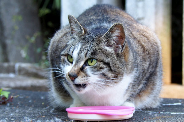 雫　食べる２