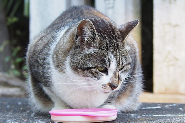 雫　食べる１