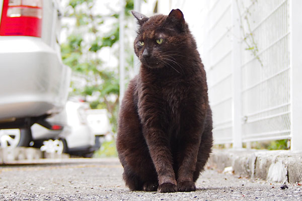 ちまっとお座りミトン