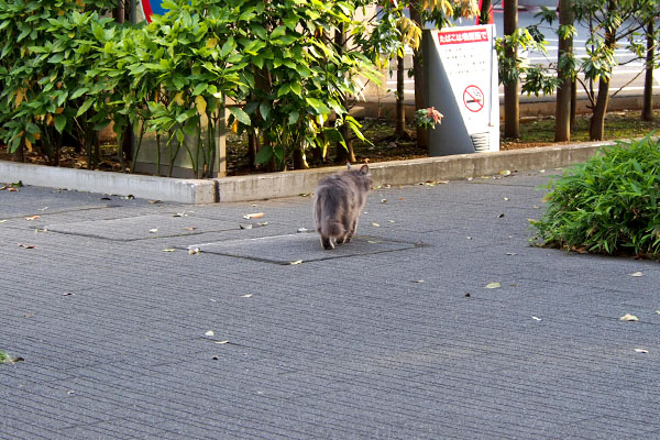 お出掛けマフ