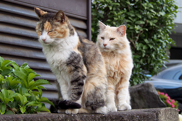 目を閉じるオトワと後ろにナリコ