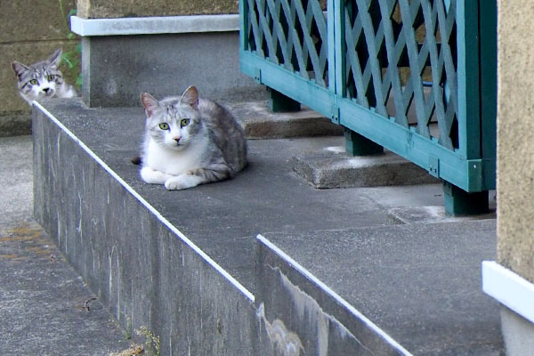 クロムとタンタルの視線