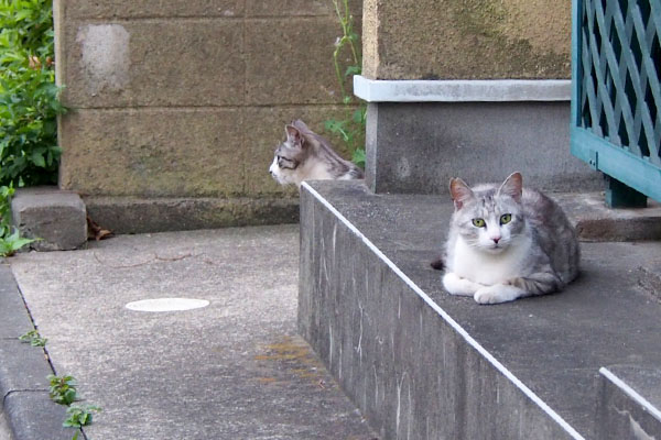 クロムはプリンタンタルは人間