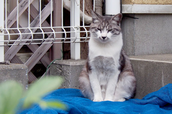 まだ起きてないタンタル