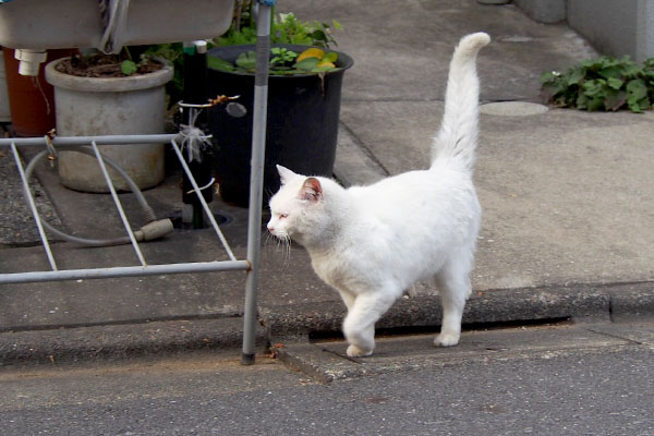 リリ　来てくれたのでオヤツ