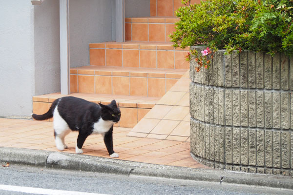 松邸に向かう