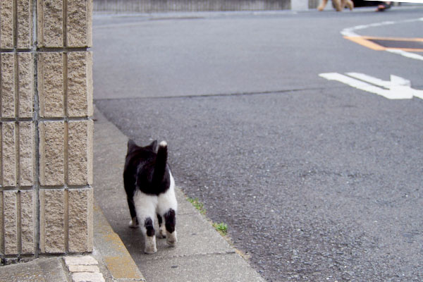 右を見ている松邸前の墨