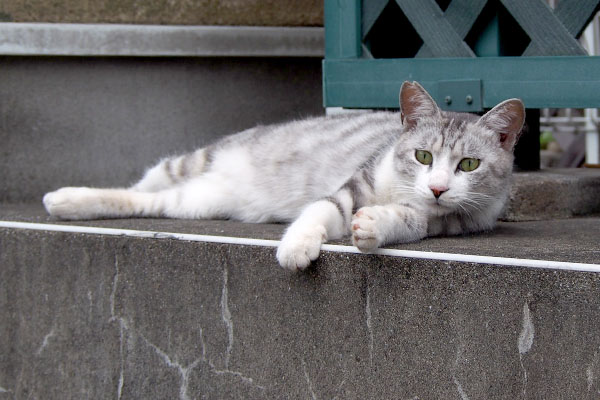 クロムと見える位置で堂々と