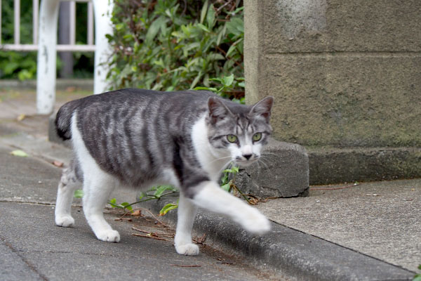 タンタル　クロムの近くへ