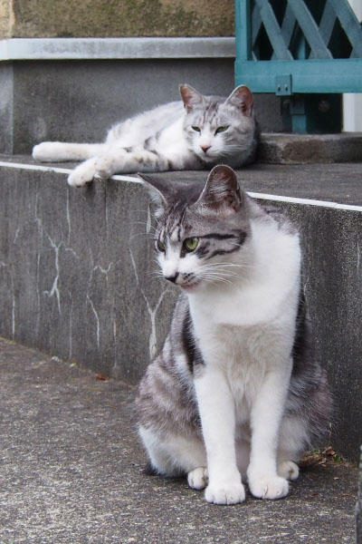 クロムとタンタル３縦