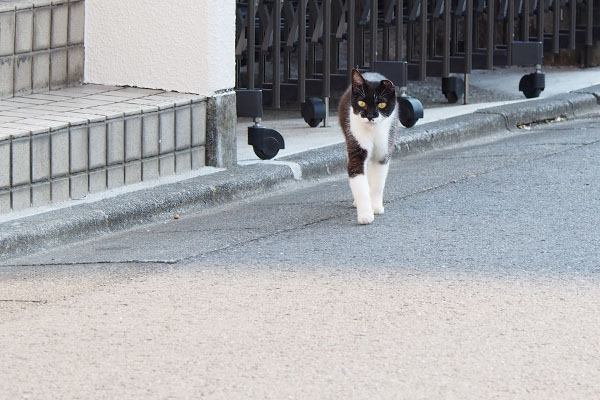 コテお世話宅その２から出て来る