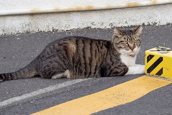 リオ　お手てを入れて