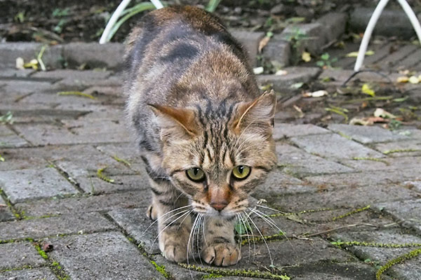 クラタン　直接交渉に踏み切る