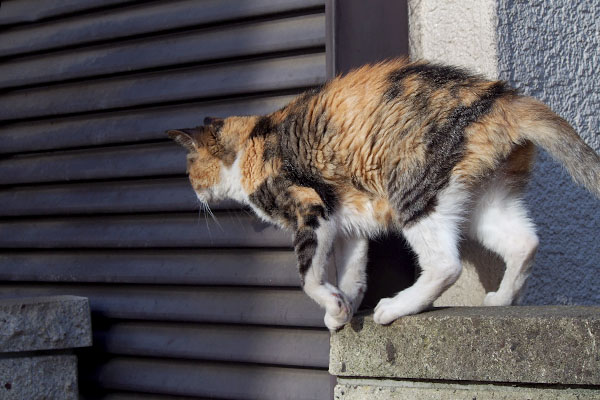 一番乗りをしようとオトワちゃん