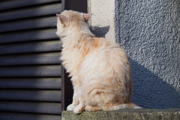 じわじわとオトワちゃんに近づくナリコ