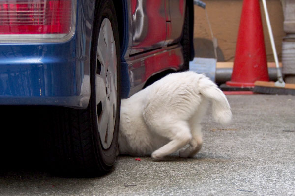 アクア　車の下へ潜る図