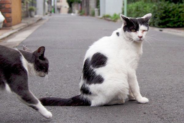 坊の近くへ行くちび