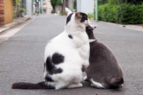 お耳をハムハムする坊