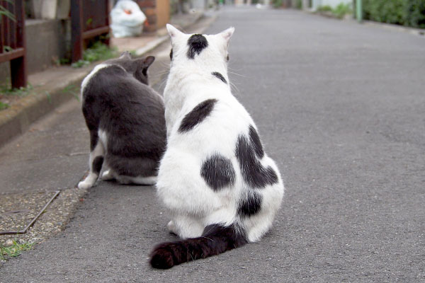 次待ちの坊とちび