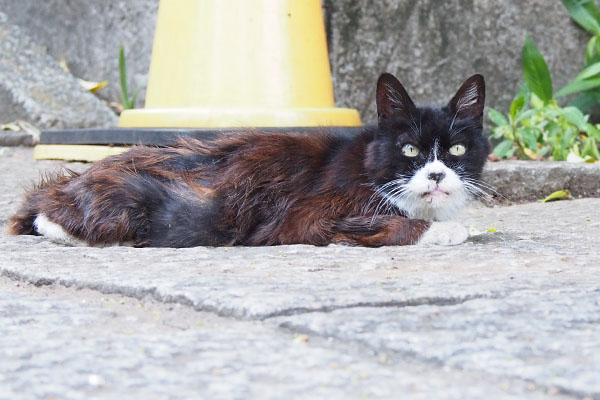 カラ　お目メぱっちり