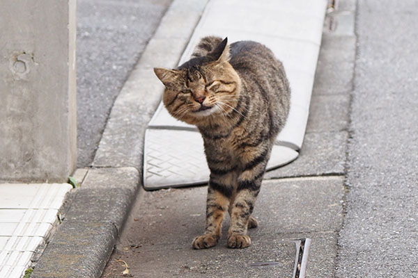 トッキー　面白いポーズ