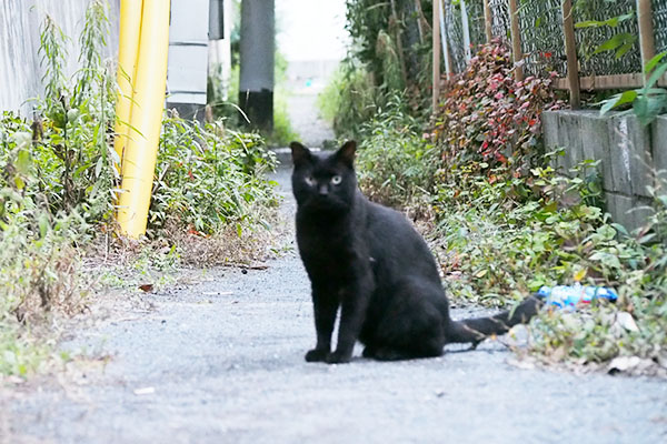 ティア　ミトンに驚く