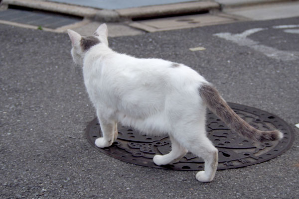 ジュリ君　マンホールの上