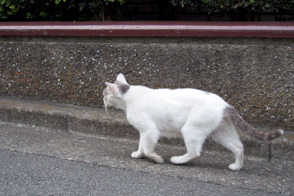 ジュリ君　並んで