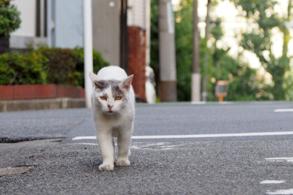 ジュリ君　出て来た