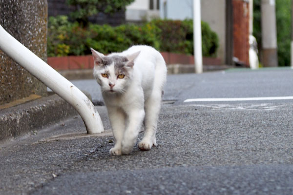 ジュリ君　少し端に寄って