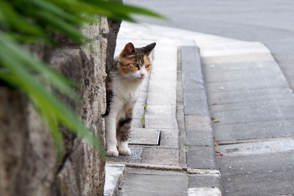 オトワ壁の向こう