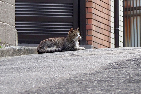 カイ君　腰を降ろす