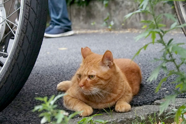 子供に見られている