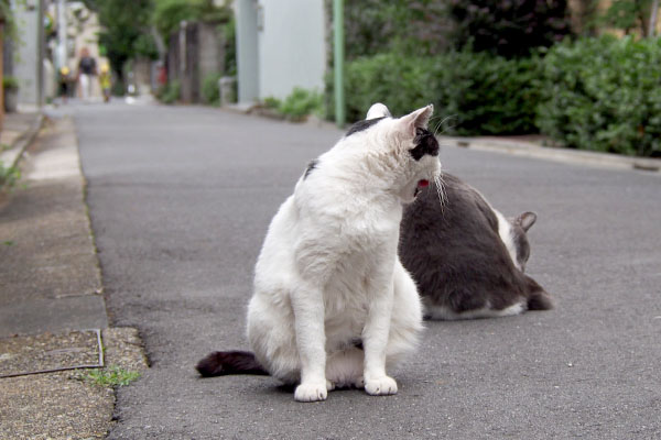 何かに気が付く坊