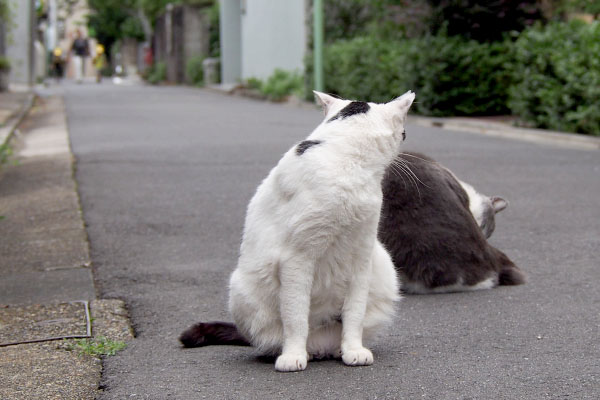 坊　苦手な生命体を確認