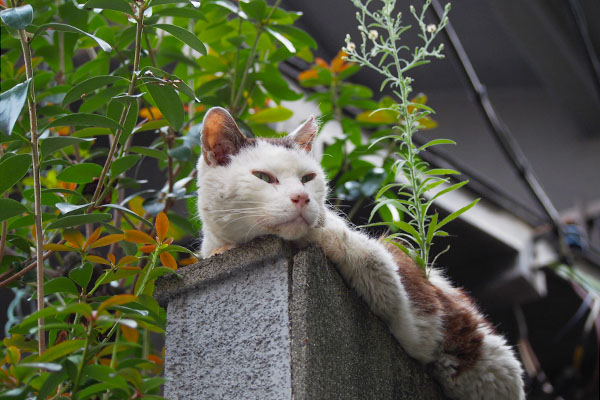 テル　遠くを見る